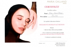 Certifikát mozaiková modelovací metoda