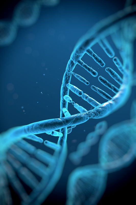 DNA molecules Peelingy Renophase Peelingy Renophase