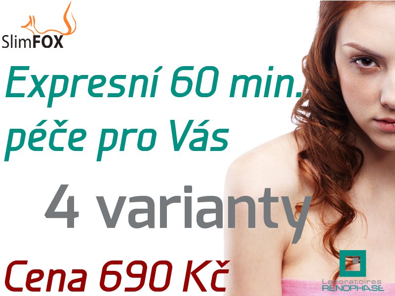RENO_osetreni_prosinec_2012