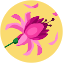 Kateřina Novotná Kateřina Novotná