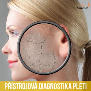 Diagnostika/analýza pleti